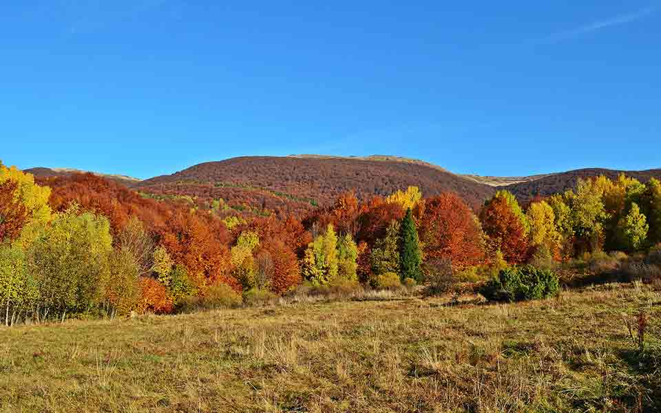 Reiseveranstalter Neckermann günstig