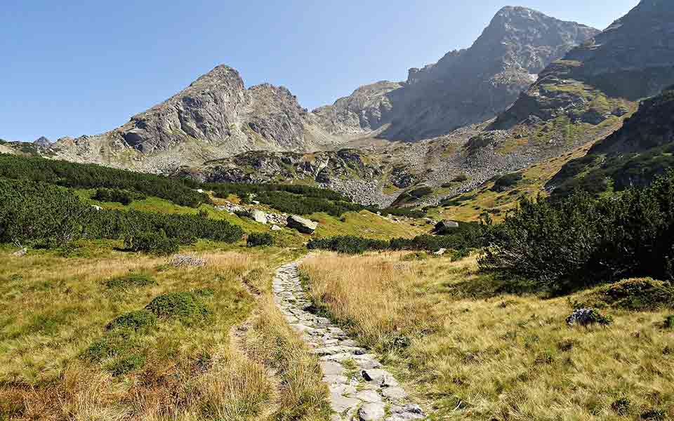 Olimar Reiseveranstalter