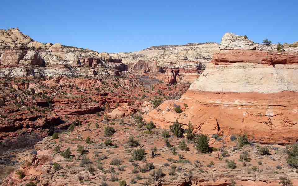 Reiseveranstalter Schauinsland günstig