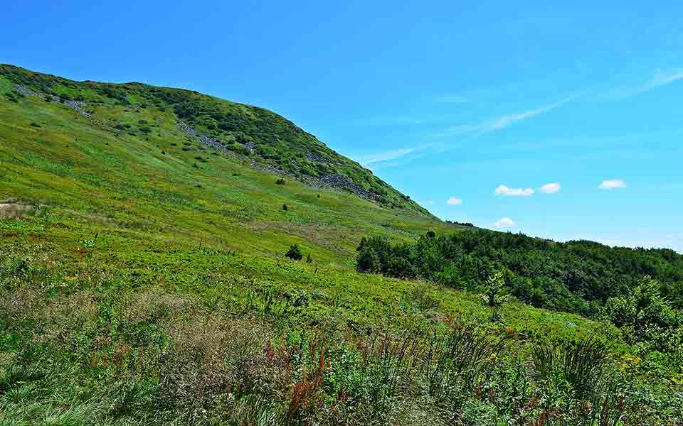 Schauinsland Reiseveranstalter