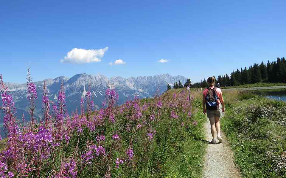 Reiseveranstalter Thomas Cook