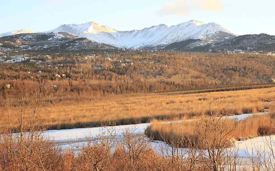 Reiseveranstalter Tropo