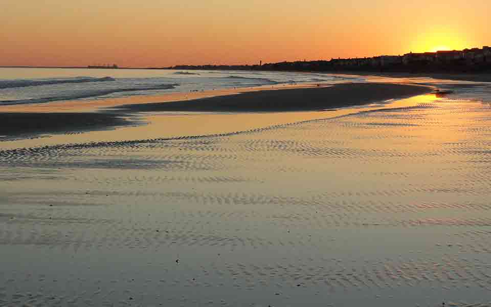 Tropo Reiseveranstalter