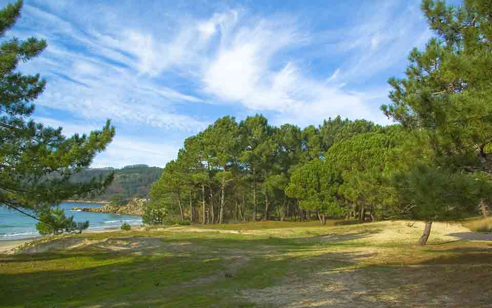 Reiseveranstalter TUI günstig