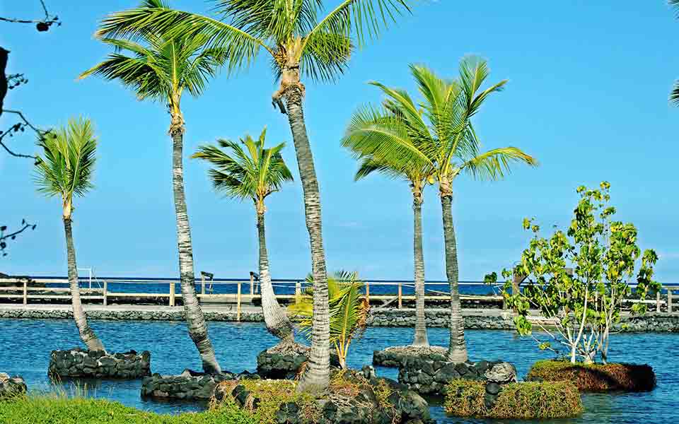 Air Marin Reisen Reiseveranstalter