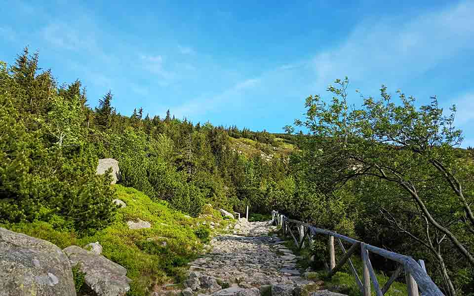 Reiseveranstalter Alltours Reisen