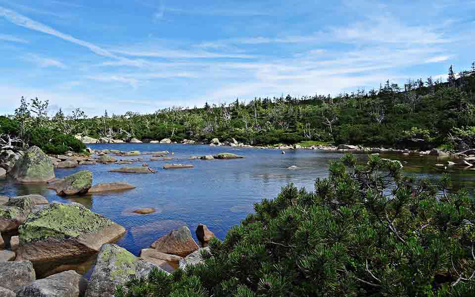 Reiseveranstalter Alltours Reisen günstig