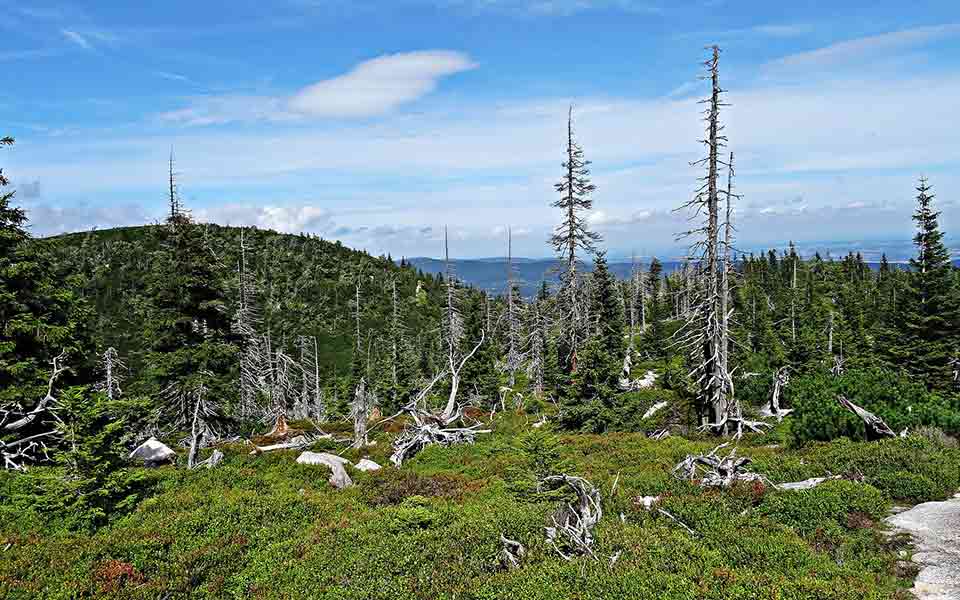 Ameropa Reisen Reiseveranstalter