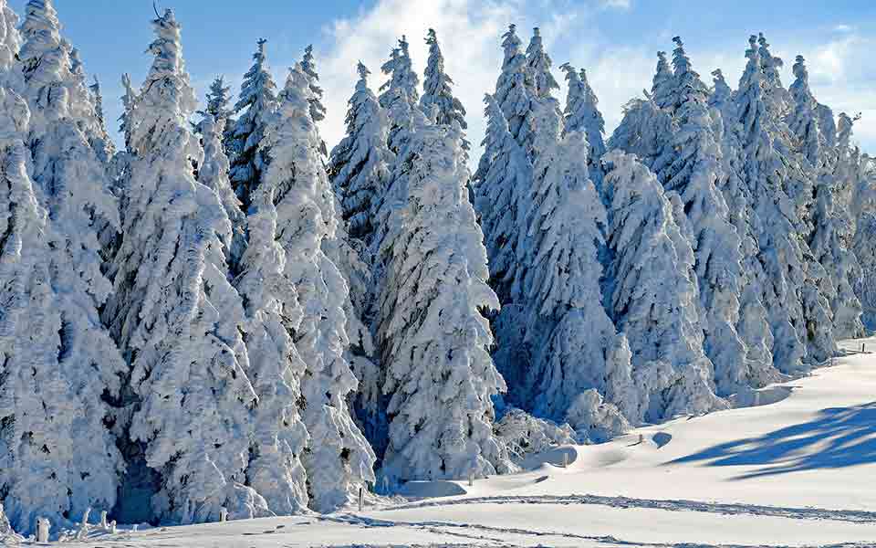 Weihnachten Reisen günstig