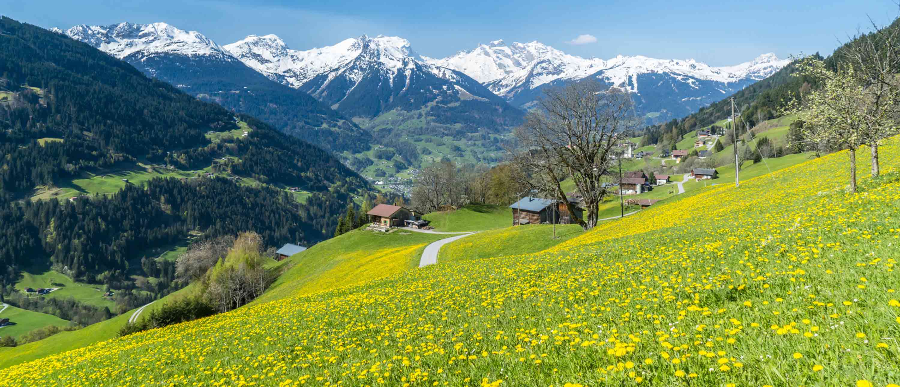 Urlaub mit Hund Allgäu【ᐅ】2020 / 2021 buchen