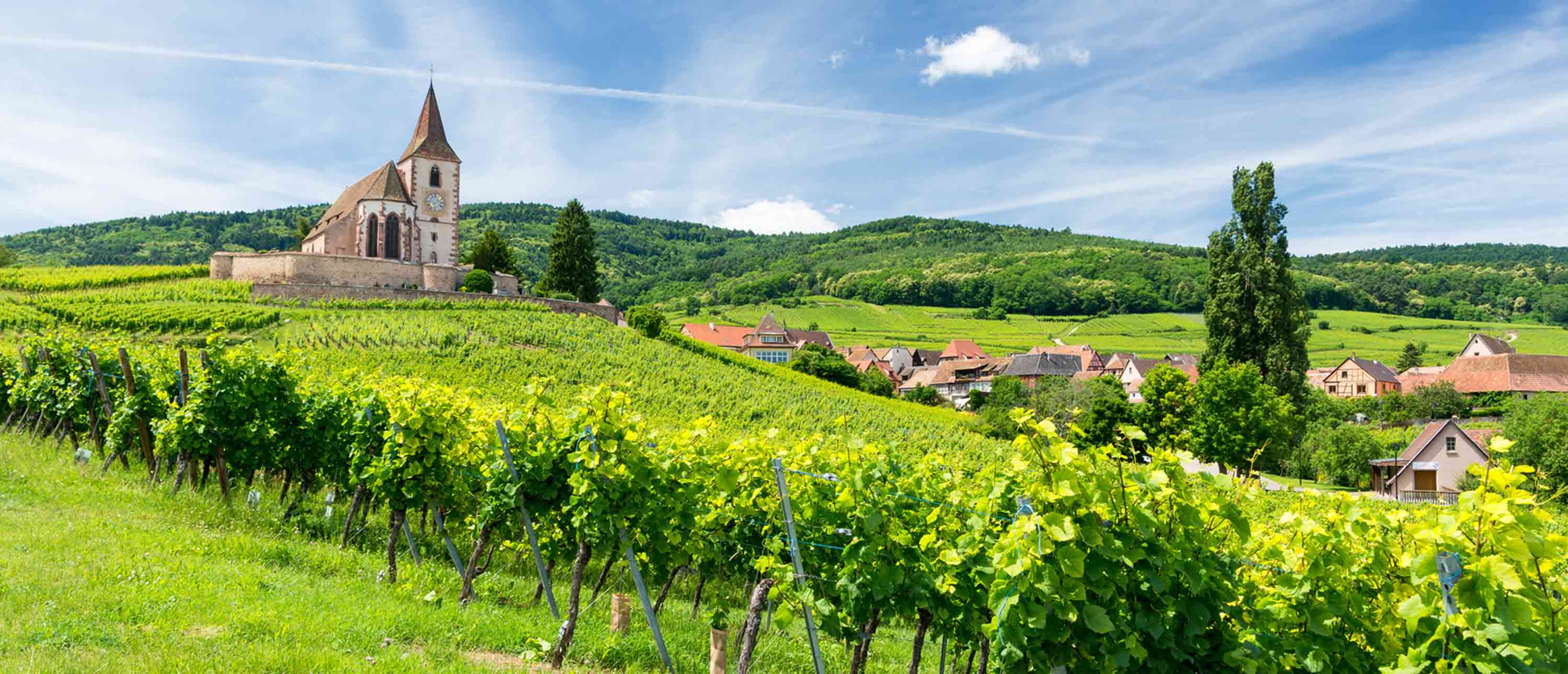 Elsass Reisen & Urlaub【ᐅ】2020 / 2021 buchen