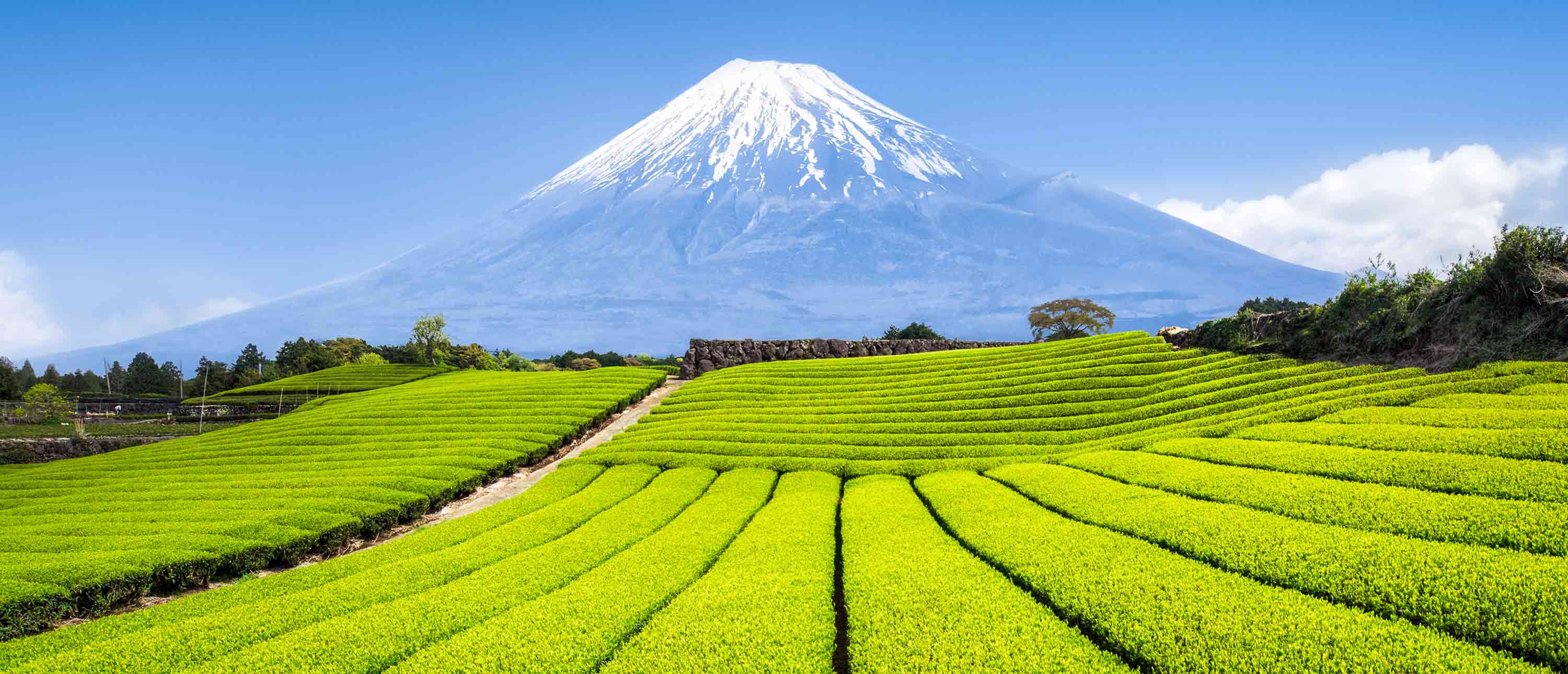 All inclusive Japan【ᐅ】Reisen & Urlaub 2020 / 2021 buchen
