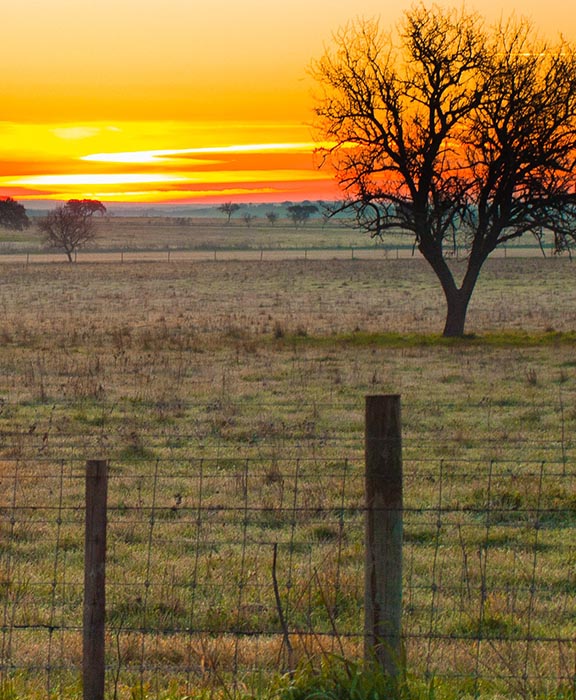 Alentejo  Reisen & Urlaub 2024 / 2025 günstig buchen Alentejo  Reisen & Urlaub 2024 / 2025 günstig buchen
