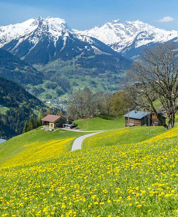 Allgäu  Reisen & Urlaub 2024 / 2025 günstig buchen