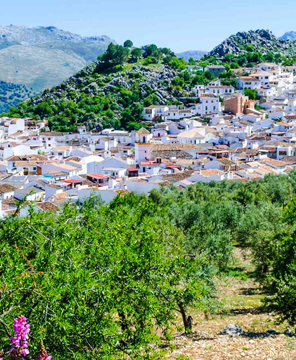 Santa Fe  Reisen & Urlaub 2023 / 2024 günstig buchen Santa Fe  Reisen & Urlaub 2023 / 2024 günstig buchen