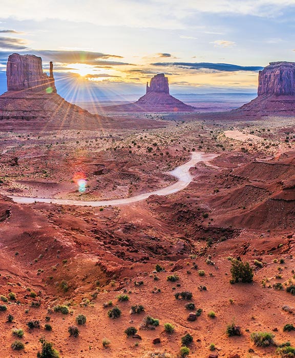 Phoenix  Reisen & Urlaub 2024 / 2025 günstig buchen