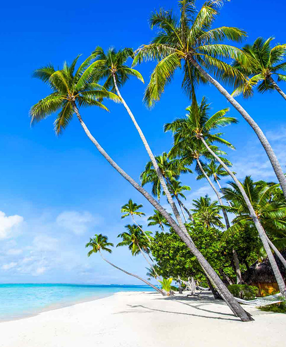 Badeurlaub  2024 / 2025 günstig  buchen
