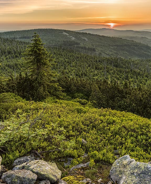 Bayerischer Wald  Reisen & Urlaub 2024 / 2025 günstig buchen