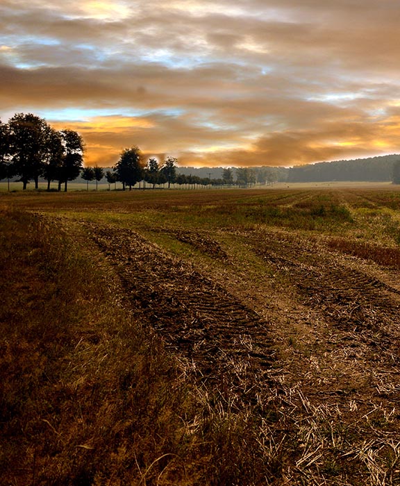 Brandenburg  Reisen & Urlaub 2024 / 2025 günstig buchen Brandenburg  Reisen & Urlaub 2024 / 2025 günstig buchen