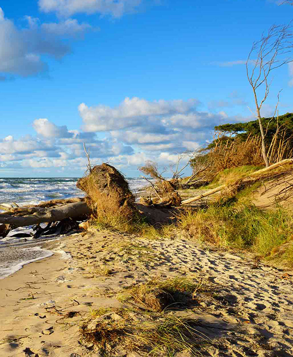 Darß  Reisen & Urlaub 2024 / 2025 günstig buchen Darß  Reisen & Urlaub 2024 / 2025 günstig buchen