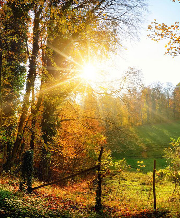 Süddeutschland  Reisen & Urlaub 2024 / 2025 günstig buchen Süddeutschland  Reisen & Urlaub 2024 / 2025 günstig buchen