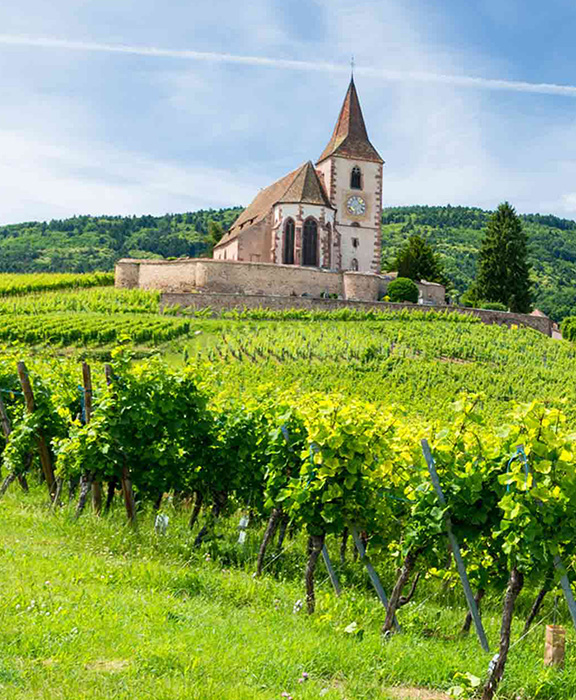 Elsass  Reisen & Urlaub 2024 / 2025 günstig buchen Elsass  Reisen & Urlaub 2024 / 2025 günstig buchen