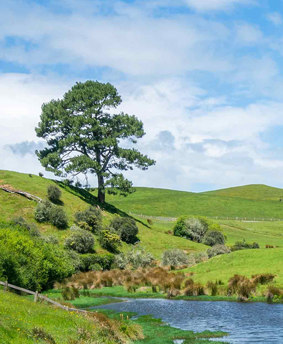 Dover  Reisen & Urlaub 2024 / 2025 günstig buchen Dover  Reisen & Urlaub 2024 / 2025 günstig buchen