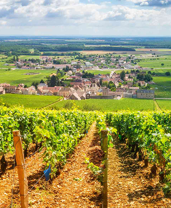 Aquitanien  Reisen & Urlaub 2024 / 2025 günstig buchen Aquitanien  Reisen & Urlaub 2024 / 2025 günstig buchen