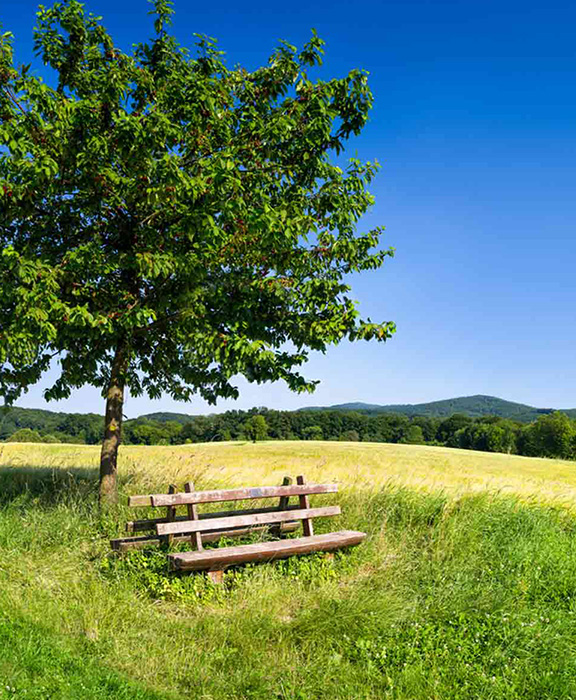 Frühling Reisen & Urlaub 2024 / 2025 günstig buchen