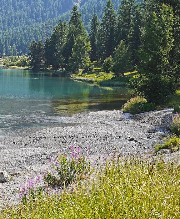 Graubünden  Reisen & Urlaub 2024 / 2025 günstig buchen Graubünden  Reisen & Urlaub 2024 / 2025 günstig buchen