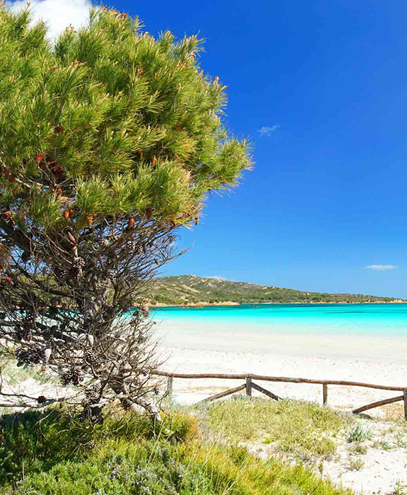 Flüge  Sardinien 2024 / 2025 günstig buchen