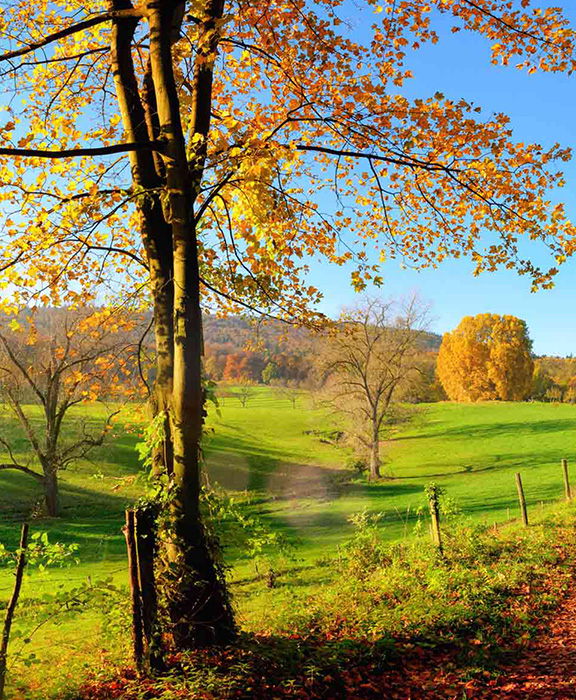 Herbst Reisen & Urlaub 2024 / 2025 günstig buchen