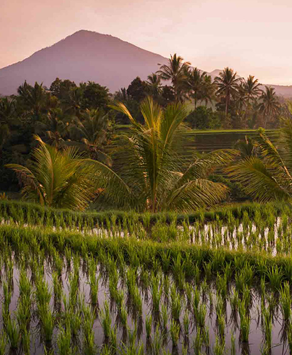 Java  Reisen & Urlaub 2024 / 2025 günstig buchen Java  Reisen & Urlaub 2024 / 2025 günstig buchen