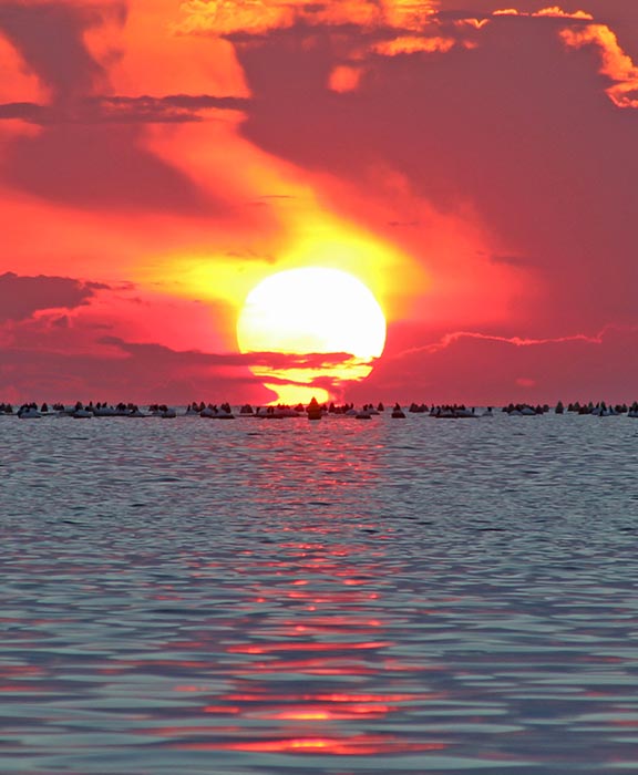 Caorle  Reisen & Urlaub 2024 / 2025 günstig buchen Caorle  Reisen & Urlaub 2024 / 2025 günstig buchen