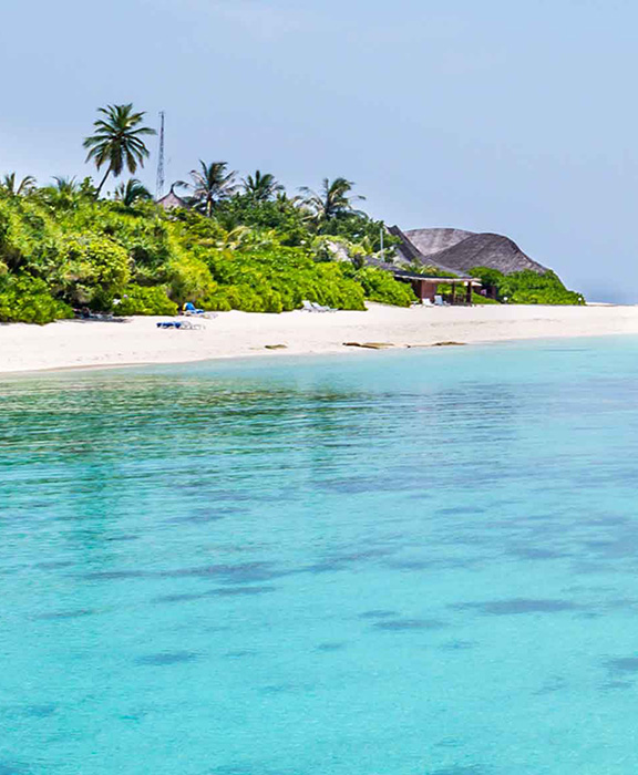 Jamaika  Reisen & Urlaub 2024 / 2025 günstig buchen