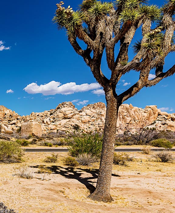 Millbrae  Reisen & Urlaub 2024 / 2025 günstig buchen Millbrae  Reisen & Urlaub 2024 / 2025 günstig buchen