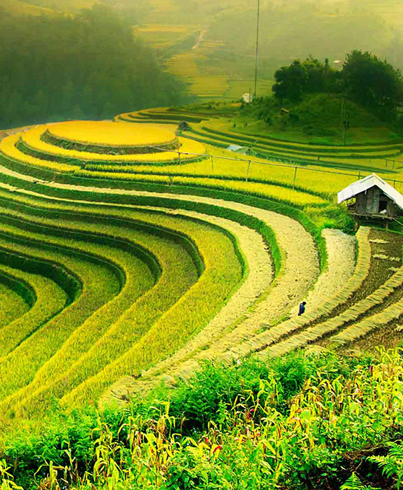 Kambodscha  Reisen & Urlaub 2024 / 2025 günstig buchen Kambodscha  Reisen & Urlaub 2024 / 2025 günstig buchen