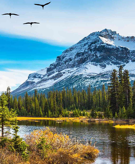 Squamish  Reisen & Urlaub 2024 / 2025 günstig buchen