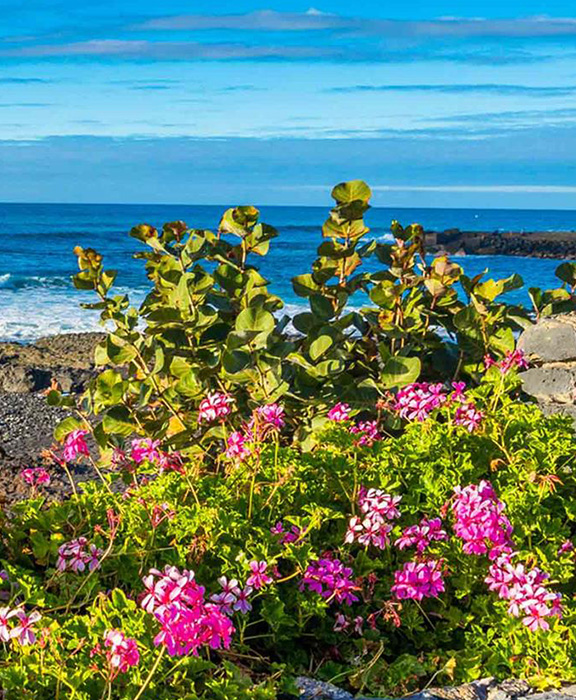 Balearen  Reisen & Urlaub 2024 / 2025 günstig buchen Balearen  Reisen & Urlaub 2024 / 2025 günstig buchen