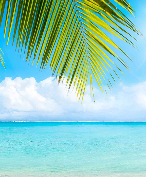 Antigua & Barbuda  Reisen & Urlaub 2024 / 2025 günstig buchen Antigua & Barbuda  Reisen & Urlaub 2024 / 2025 günstig buchen