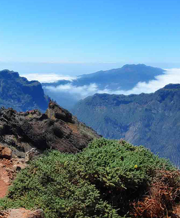 Santa Cruz de La Palma  Reisen & Urlaub 2023 / 2024 günstig buchen