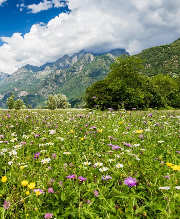 Lombardei  Reisen & Urlaub 2024 / 2025 günstig buchen Lombardei  Reisen & Urlaub 2024 / 2025 günstig buchen