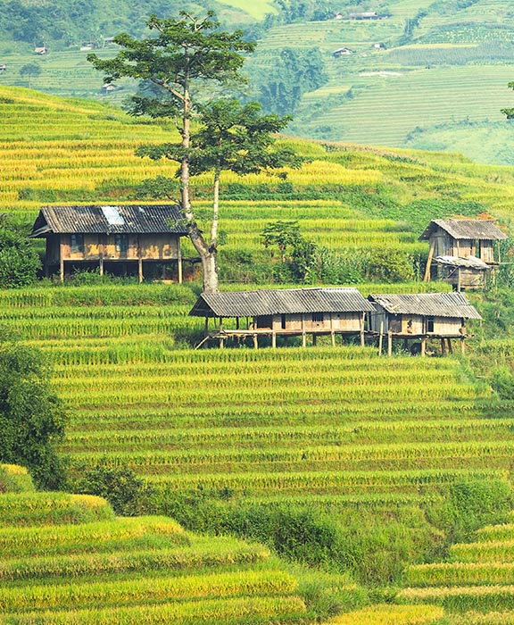 Tanjong Sepat  Reisen & Urlaub 2024 / 2025 günstig buchen