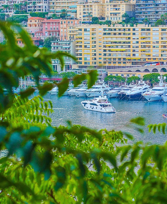 Monaco  Reisen & Urlaub 2024 / 2025 günstig buchen