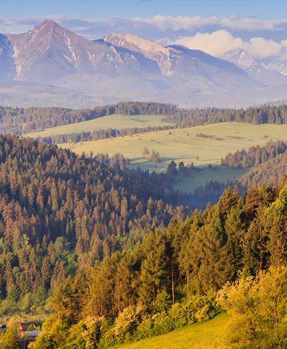 Polen  Reisen & Urlaub 2024 / 2025 günstig buchen