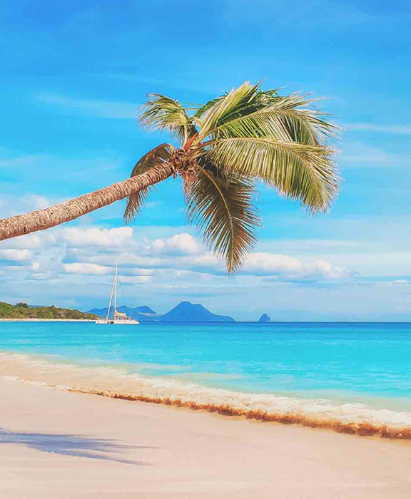 Preisvergleich für Reisen & Urlaub 2024 / 2025