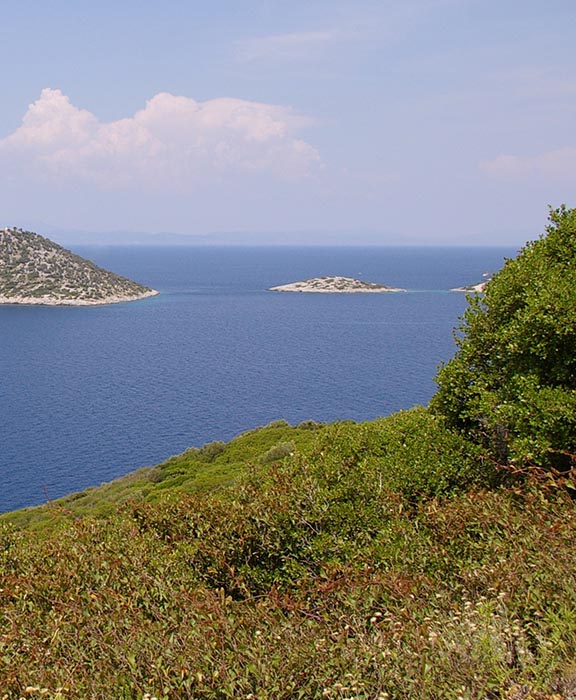 Samos Reisen & Urlaub 2024 / 2025 günstig buchen Samos Reisen & Urlaub 2024 / 2025 günstig buchen