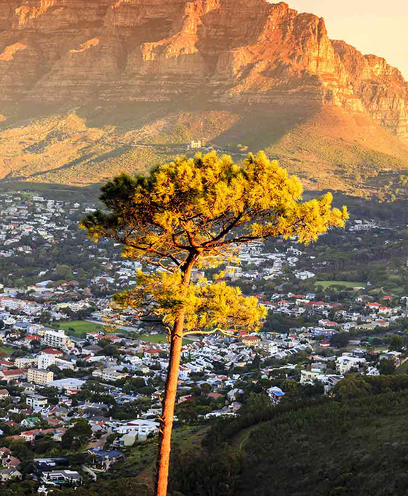 Südafrika Ostküste  Reisen & Urlaub 2024 / 2025 günstig buchen Südafrika Ostküste  Reisen & Urlaub 2024 / 2025 günstig buchen