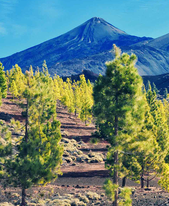 Santa Ursula Reisen & Urlaub 2023 / 2024 günstig buchen Santa Ursula Reisen & Urlaub 2023 / 2024 günstig buchen