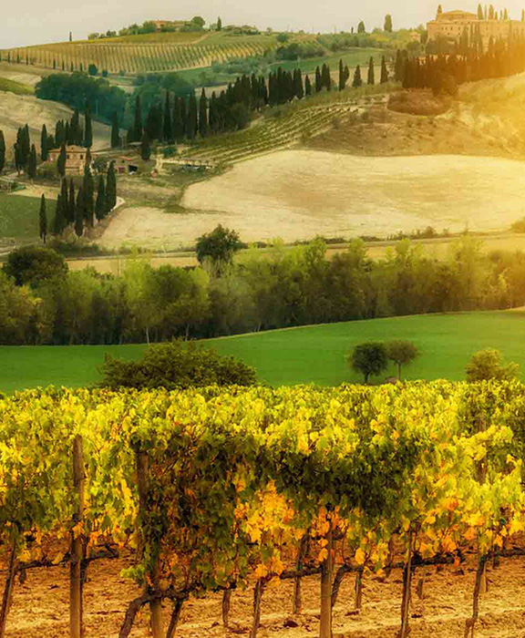Montecatini Terme  Reisen & Urlaub 2024 / 2025 günstig buchen